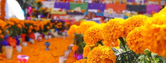 Flores_de_cempasúchil_en_la_tradición_mexicana.